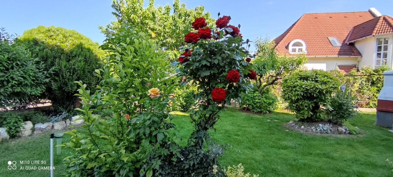 Landhaus Forras Balatonfured Bagian luar foto